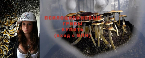 МДПВ Магадан