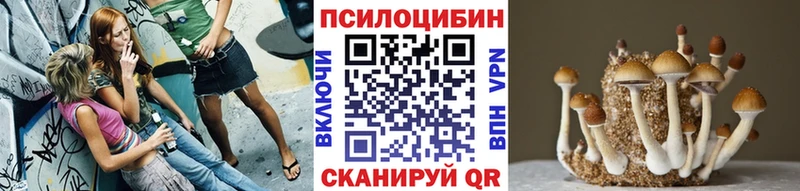 OMG онион  Агрыз  Галлюциногенные грибы Psilocybine cubensis 